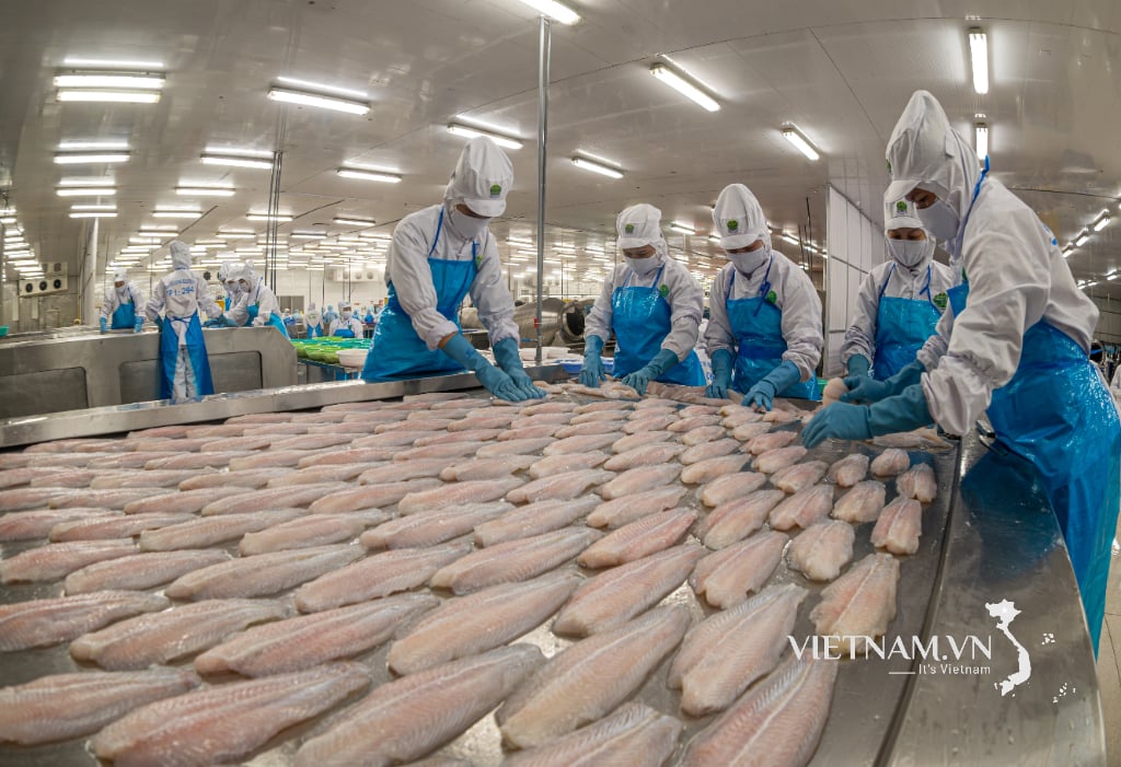 Pangasius export strength -4